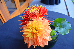 EVERGREEN SCHOOL SOCIAL